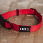 ノブルジャパン 犬用首輪(1インチ) レッド